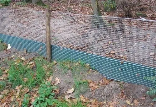 Amfibieschermen