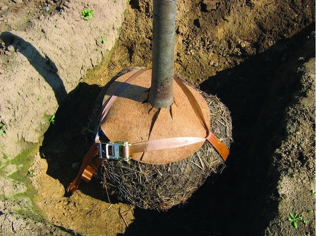 Kluitverankering onderdelen toegepast