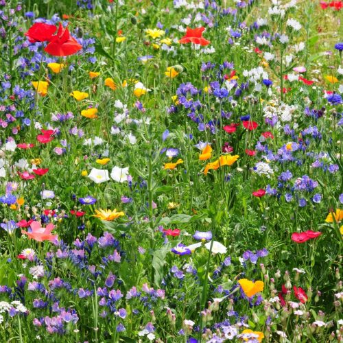 Bloemenmengsels