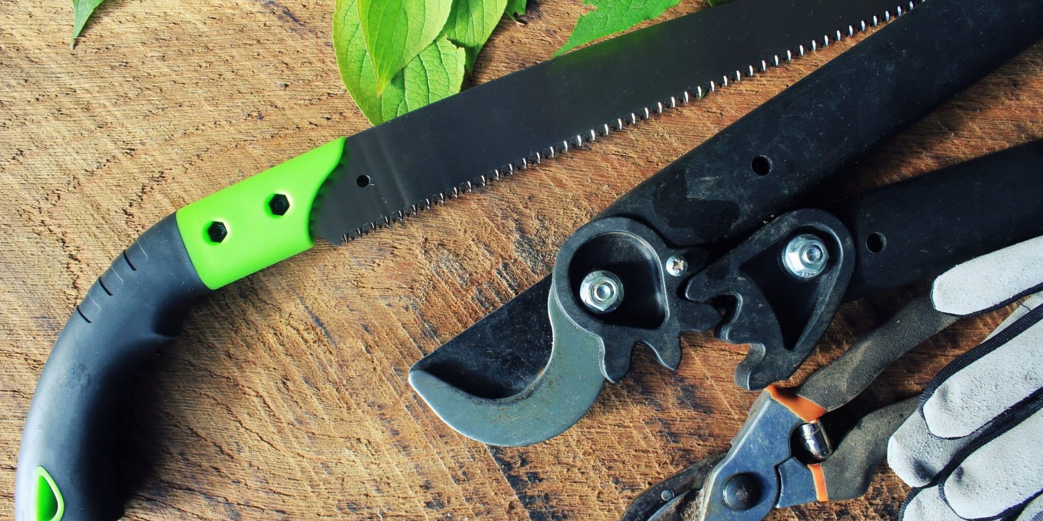 illustratie van verschillende Snoeigereedschappen