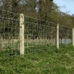 afbeelding van gaas